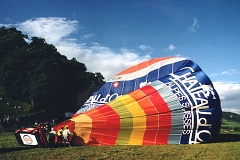 Coccinelle-montgolfiere - Cox Ballon (36)
